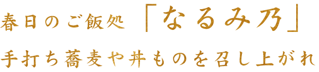 手打ち蕎麦や丼ものを召し上がれ