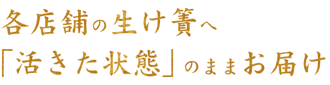 各店舗の生け簀へ