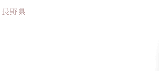 純米吟醸 辛口生一本 真澄