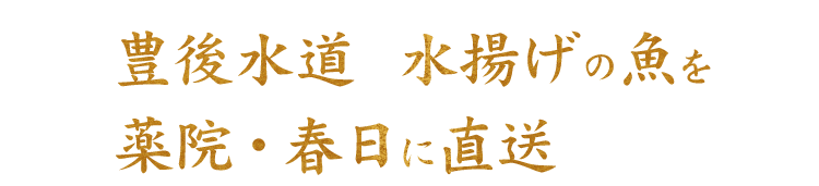 水揚げの魚を 薬院・春日に直送