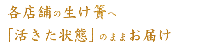 活きた状態