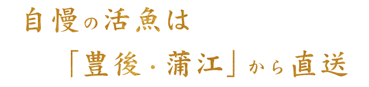 自慢の活魚は「豊後・蒲江」から直送