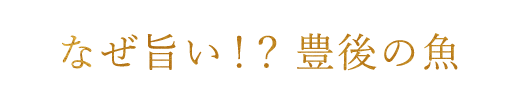 なぜ旨い！？豊後の魚